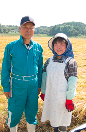 宮城　ひとめぼれ　つや姫