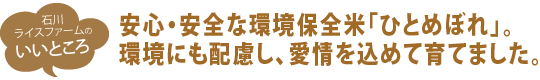 安心・安全な環境保全米　宮城ひとめぼれ。環境にも配慮し、愛情を込めて育てました。