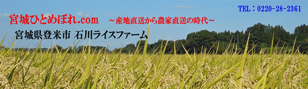 宮城ひとめぼれ　産地直送　石川ライスファーム